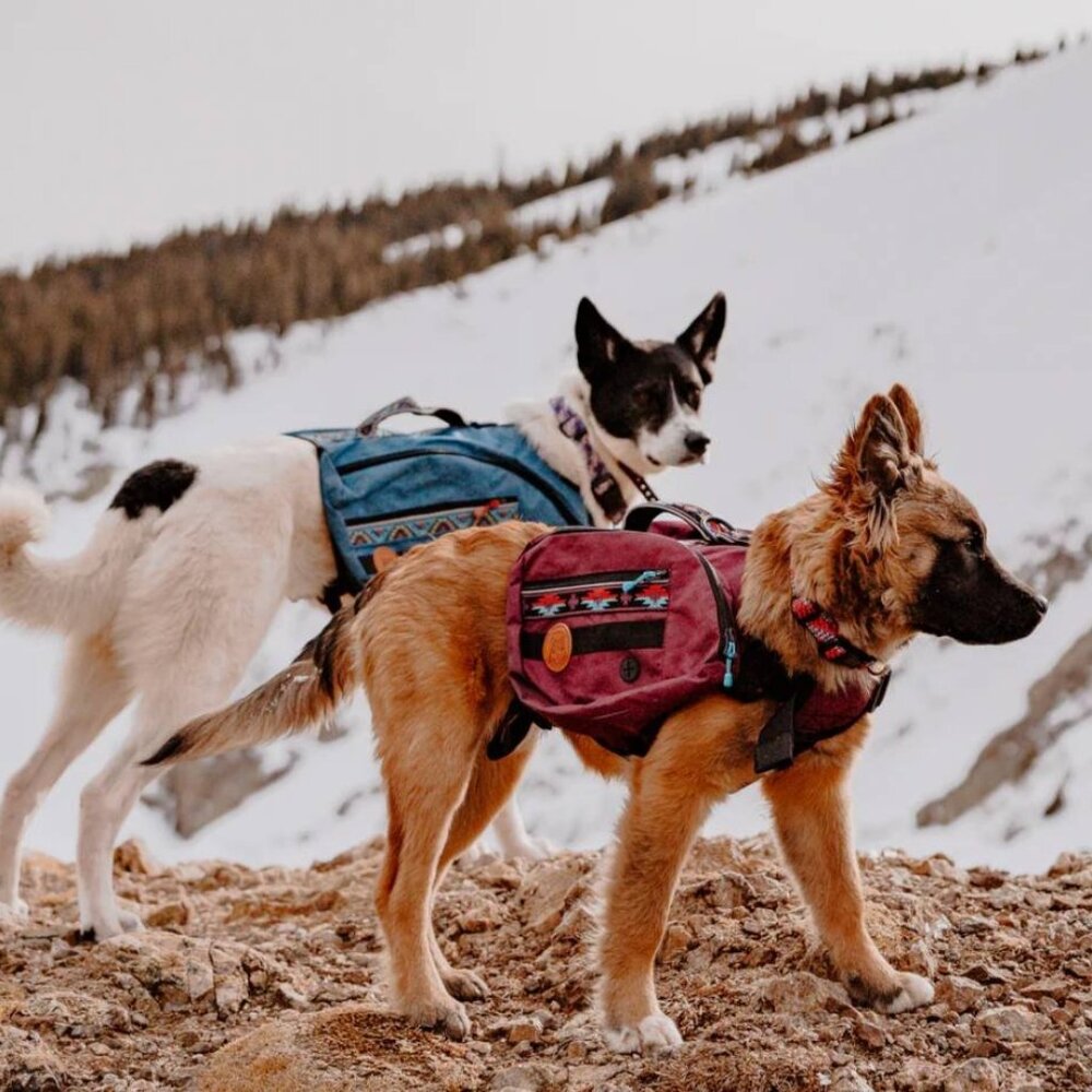 WILDERDOG DOG BACKPACK